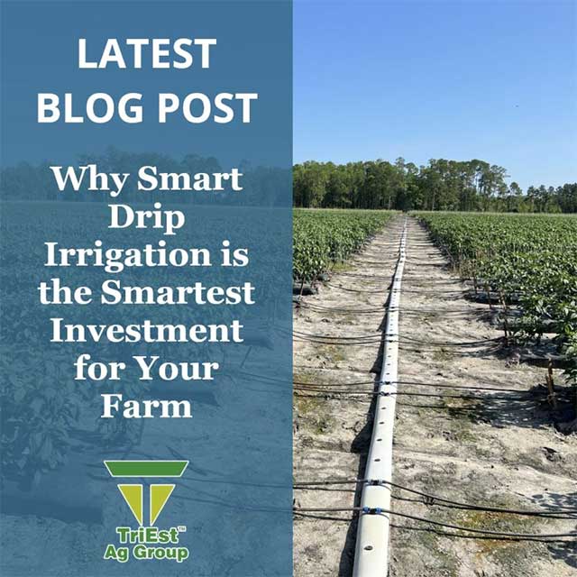 Why Smart Drip Irrigation is the Smartest Investment for Your Farm