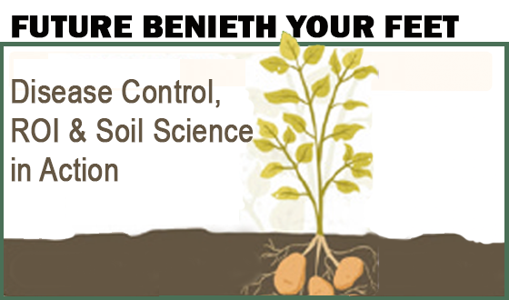 The Future Beneath Your Feet