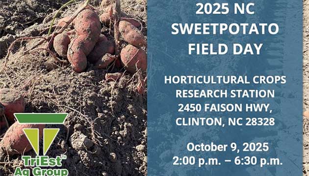 2025 NC SweetPotato Field Day