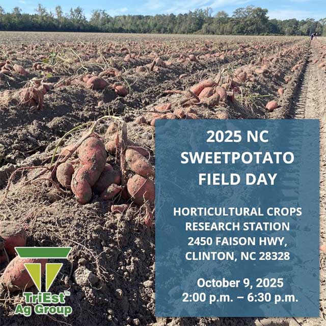 2025 NC SweetPotato Field Day