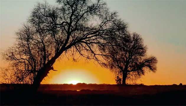 Sand, Wind and Common Scab: Lessons Learned From South Africa