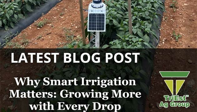 Why Smart Irrigation Matters: Growing More with Every Drop