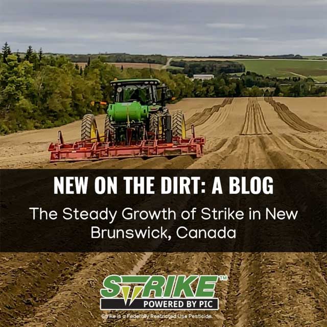 The Steady Growth of Strike in New Brunswick, Canada