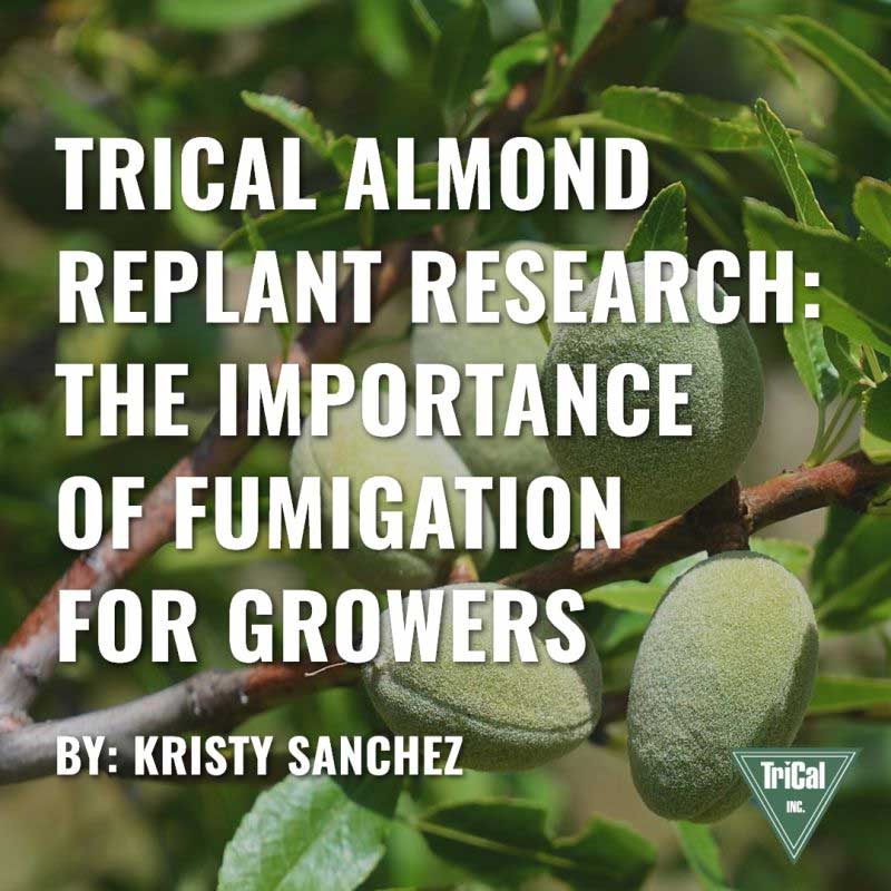 TriCal Almond Replant Research: The Importance of Fumigation for Growers