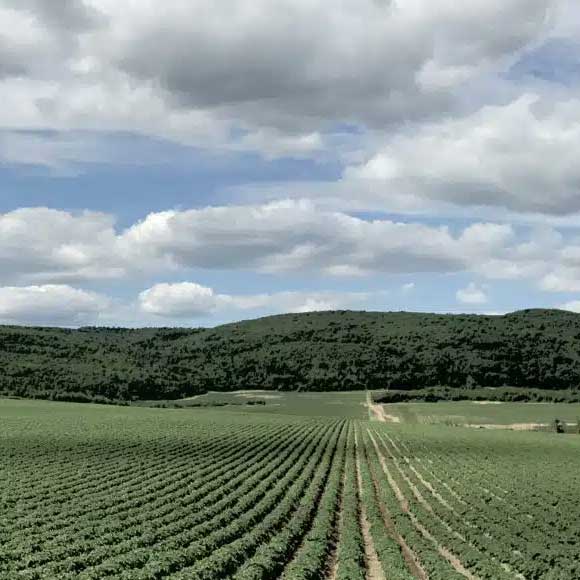 The Real Reason Fields Get “Tired” … and What to Do About It