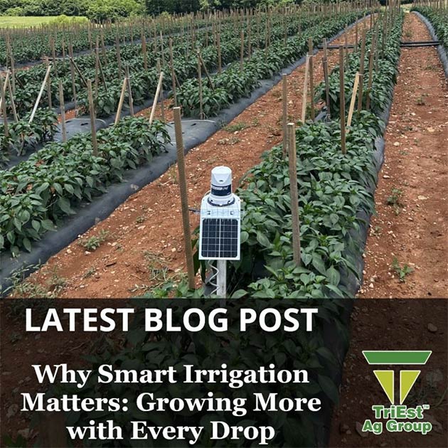 Why Smart Irrigation Matters: Growing More with Every Drop