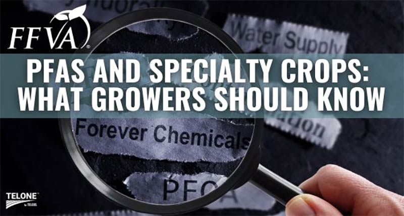 FFVA PFAS Fact Sheet: Florida Fruit and Vegetable Association