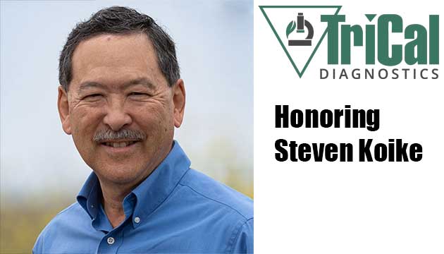 Honoring Steve Koike