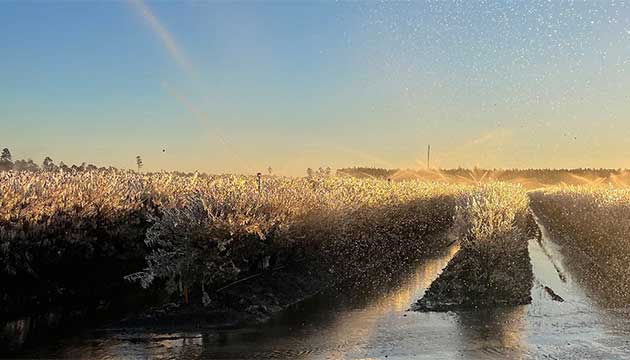 Protect Your Crop Before Temperatures Drop: Planning a Frost Protection System