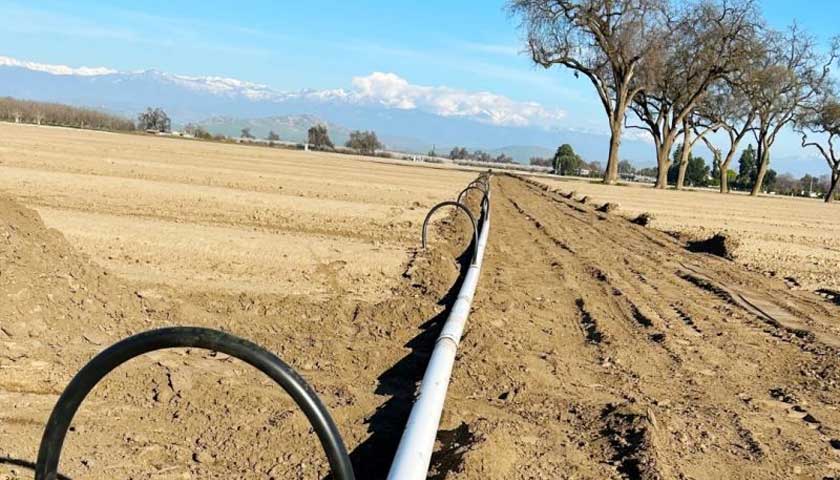 Efficient Almond Irrigation with Landmark Irrigation