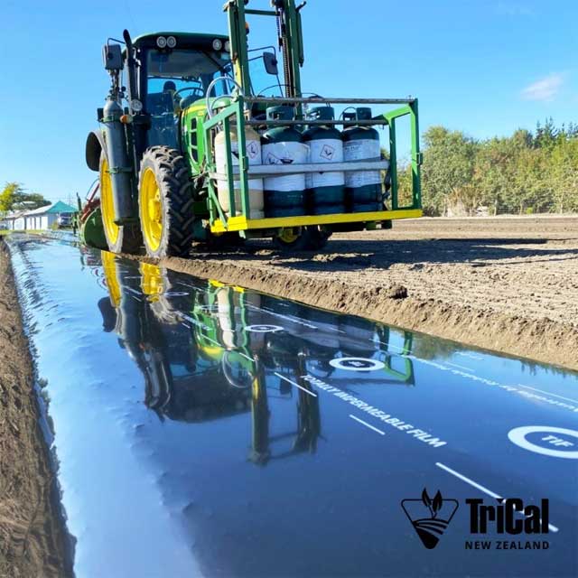 Strawberry Season Begins with Quality Soil Preparation