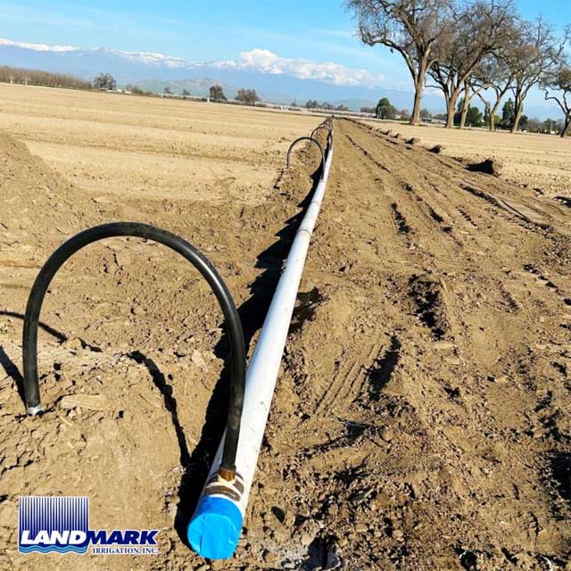 Efficient Almond Irrigation with Landmark Irrigation