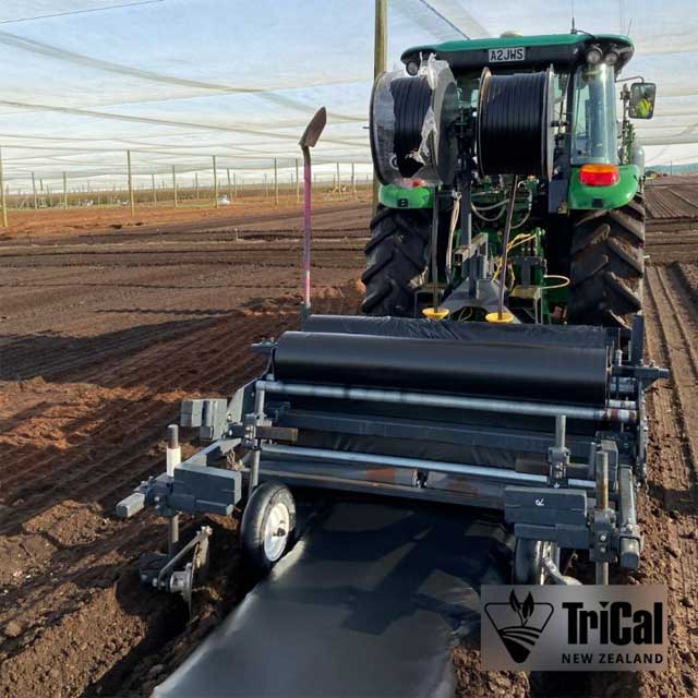 TriCal NZ Fumigates Blueberries in the North Island
