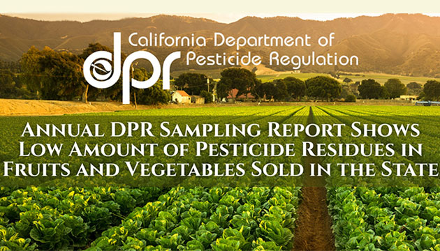 California Department of Pesticide Regulation Report