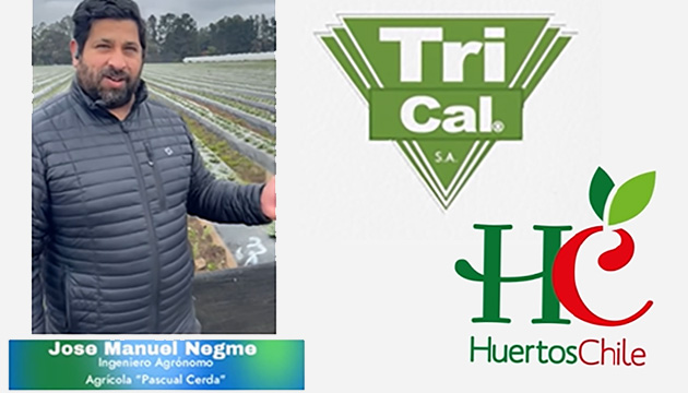 Agricultural Engineer Highlights Results of TriCal Products