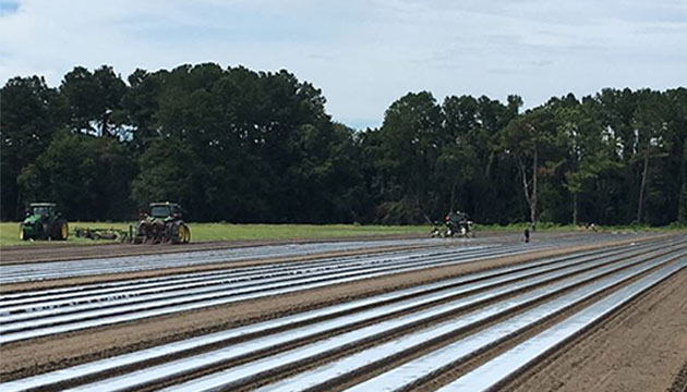 TriEst Ag Group is Here to Support Your Success