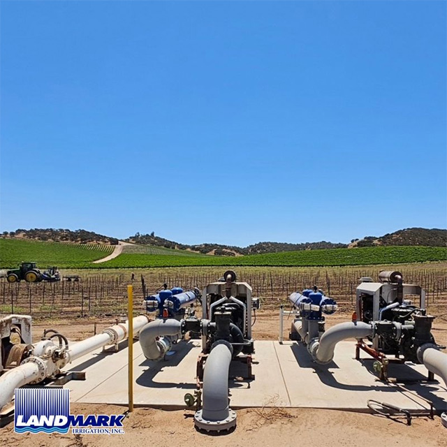  Clean Water, Strong Vines