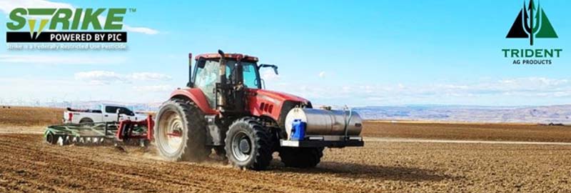 Potato Trial in Oregon focused on Tackling Pathogens