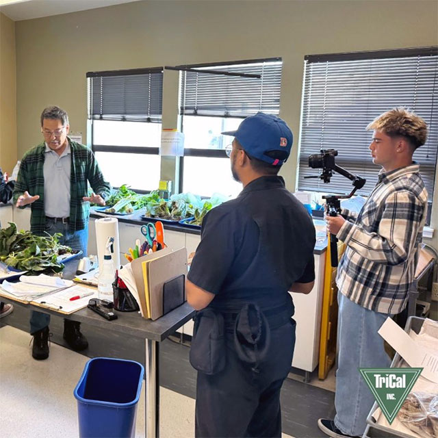 New Project is in the Works