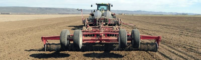 Trident Ag in the Field Enhancing Field Health