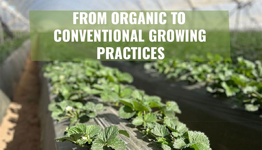 Baja California Adapt to Changing Production Practices