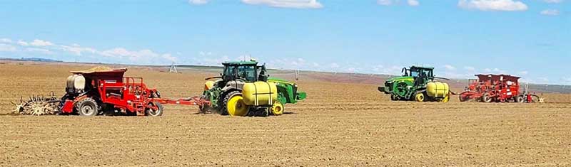 Potato Planting Season is Here!