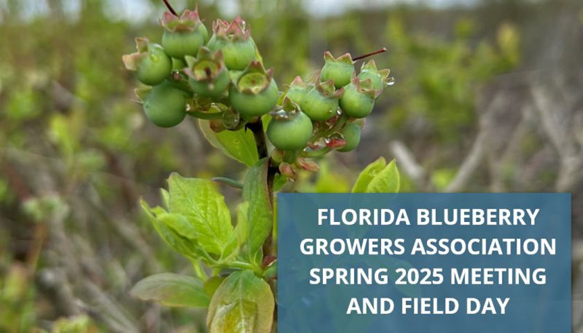 Florida Blueberry Growers Meeting and Field Day