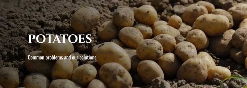 Teleos Ag's New Potato-Specific Crop Page