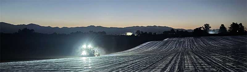 Every Successful Season Begins Beneath the Surface