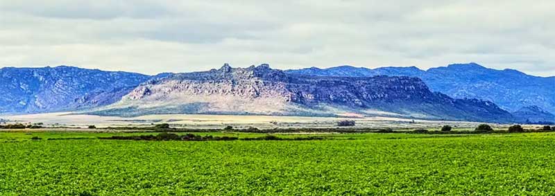 From South Africa to Canada: Four Lessons on Soil Fumigation