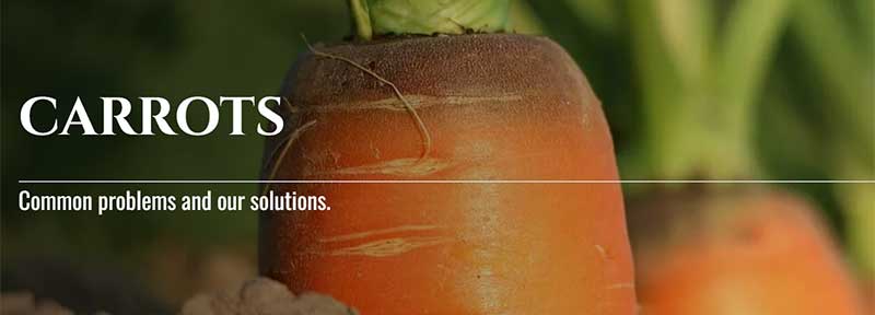 Carrot Growers are Prepping with TELONE™ by Teleos