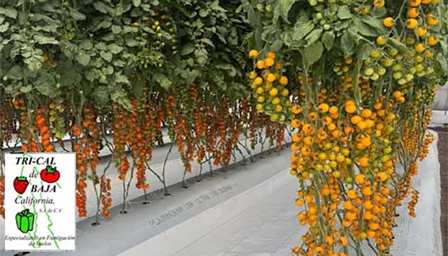 Guanajuato AgroFood Expo