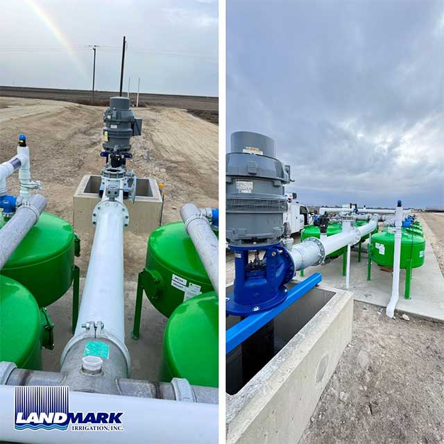 Pistachios | El Nido, California