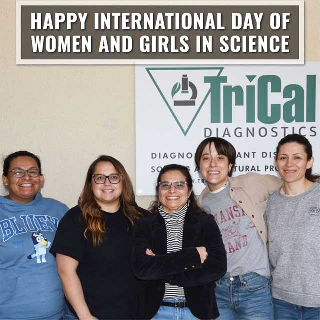 International Day of Women and Girls in Science