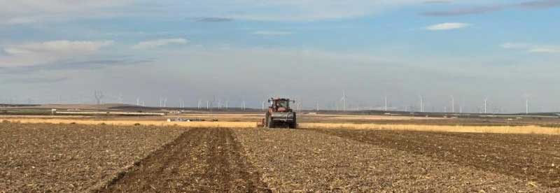 Potatoes | Boardman, Oregon 