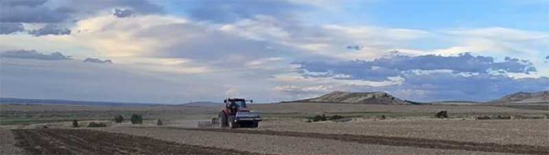 Set the Stage for Healthier Plants and Higher-Quality Yields