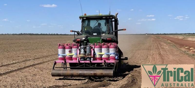 Shank Application for Applying Strike in Australia