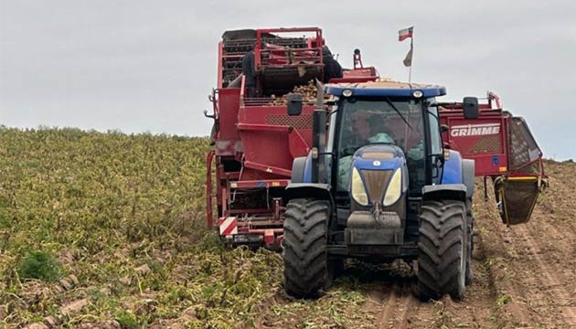 Potatoes | South America