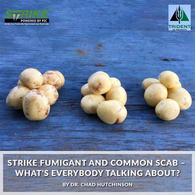 Strike Fumigants & Common Scab | Dr. Chad Hutchinon