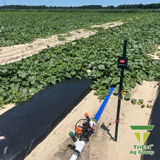 July is Smart Irrigation Month
