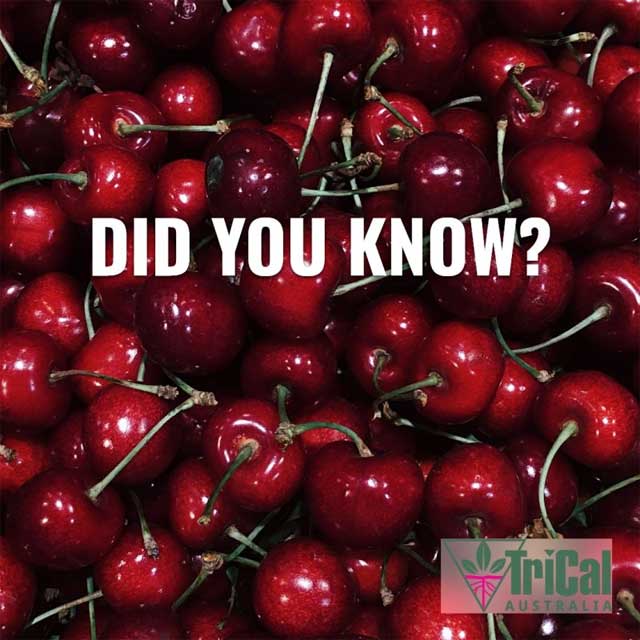 Did you know?  | Cherries
