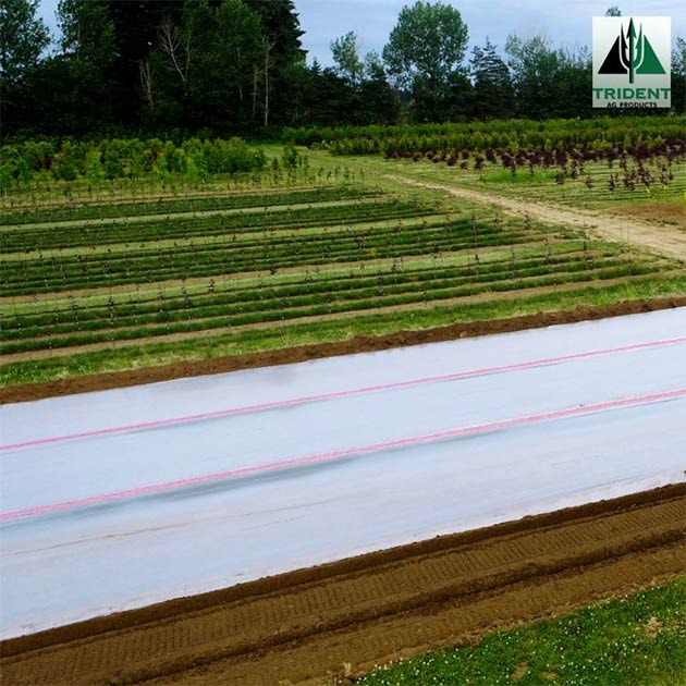 Ornamentals | Pacific Northwest