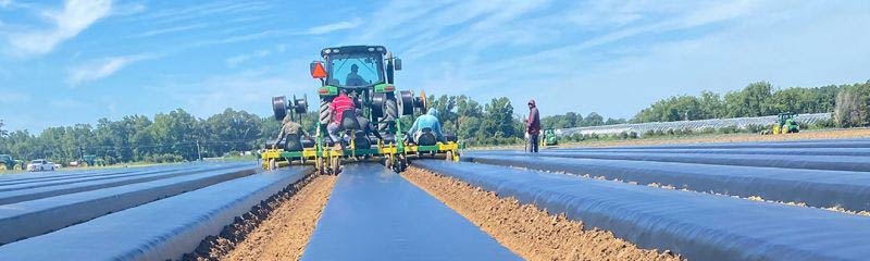 Soil Fumigation | TriEst Ag Group