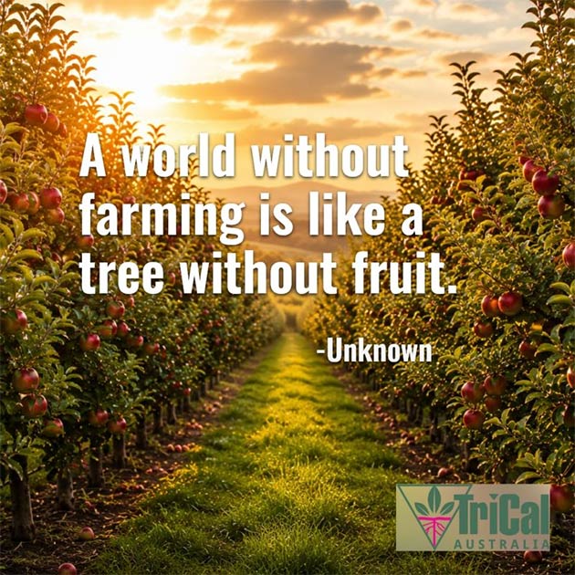 A World without Farming is like a Tree without Fruit