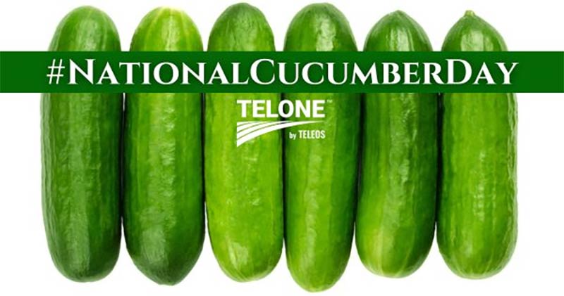 National Cucumber Day