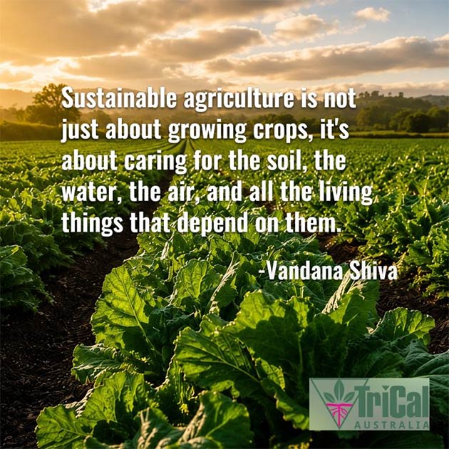 Sustainable Agriculture | Australia