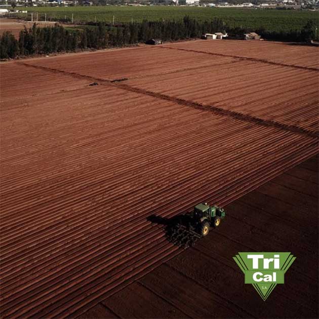 Soil Fumigation | Chile & South America