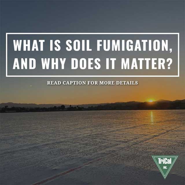 What Is Soil Fumigation, and Why Does It Matter?
