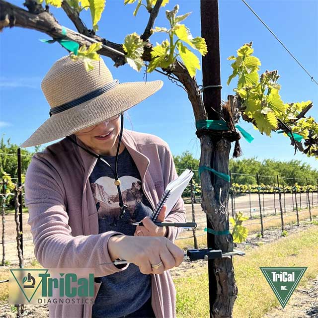 Real Science. Real Results. | TriCal Diagnostics