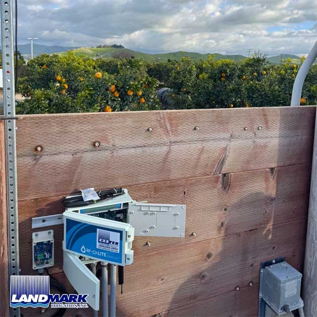 Citrus | Exeter, California